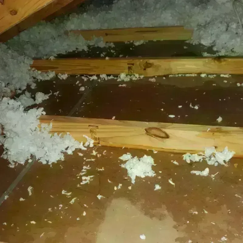 Attic Water Damage in Homestead Meadows South, TX