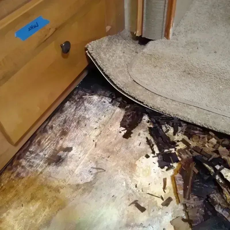 Wood Floor Water Damage in Homestead Meadows South, TX